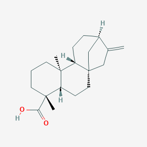 異貝殼杉烯酸