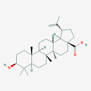 白樺脂酸