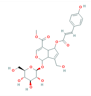 (E)-6-O-對(duì)香豆酰雞屎藤次苷甲酯