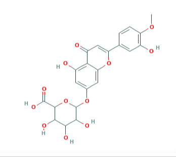 香葉木素 7-O-β-D-葡萄糖醛酸苷
